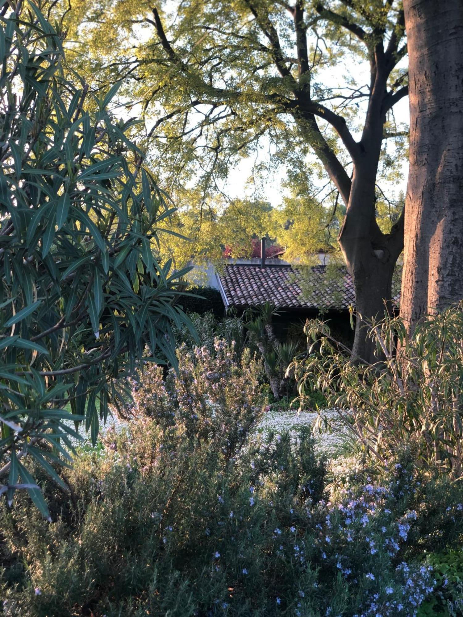 B&B Cascina Mattarelle Monzambano Luaran gambar